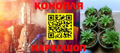 экстази Гусев