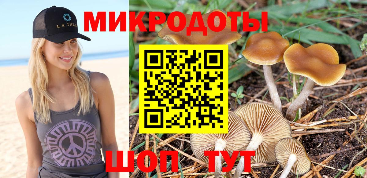 Псилоцибиновые грибы прущие грибы Мыски