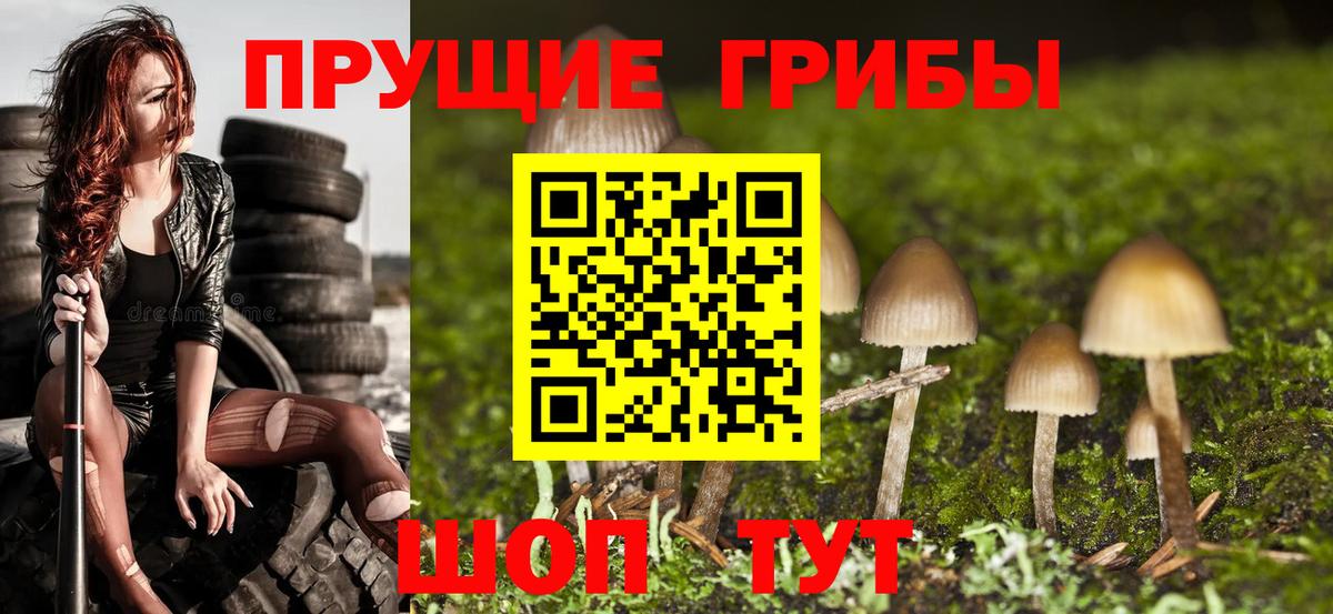 Псилоцибиновые грибы GOLDEN TEACHER  Псилоцибиновые грибы Cubensis  Вход с VPN  Мыски 